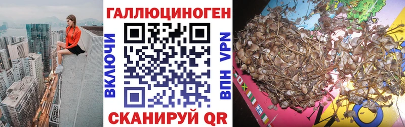 Галлюциногенные грибы ЛСД  Озёры 
