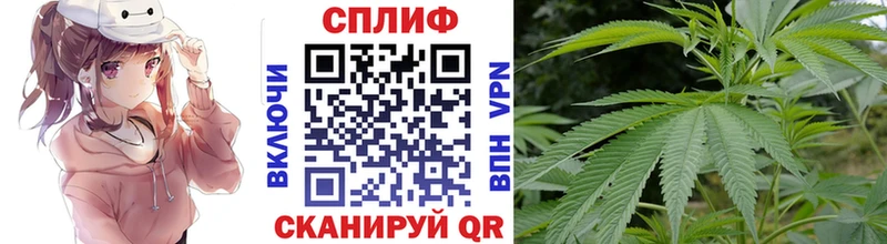 сколько стоит  Озёры  KRAKEN ONION  Каннабис OG Kush 